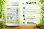 Sattviora Arsh Shakti Piles Powder | Ayurvedic Herbal Support for Piles & Digestive Wellness | Natural Blend with Harad, Amla & Mulethi