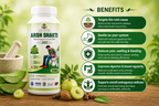 Sattviora Arsh Shakti Juice | Ayurvedic Herbal Juice for Digestive & Rectal Wellness | Aloe Vera, Amla & Haritaki Blend | 200ml